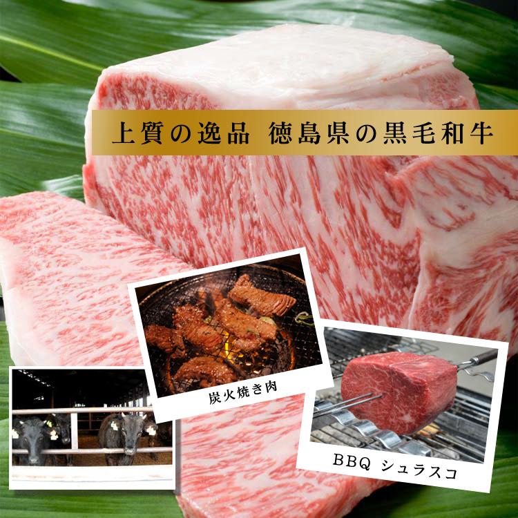 阿波牛 牛肉  最高級 黒毛和牛  サーロインステーキ 600g 肉 ギフト 贈答 送料無料