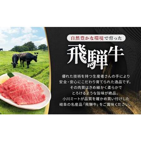 ふるさと納税 飛騨牛「希少部位」Ａ5 三角バラ 焼肉用 300ｇ｜国産 肉 牛肉 焼肉 和牛 黒毛和牛 グルメ おすすめ AD101 【飛騨牛 和牛ブランド .. 岐阜県大野町