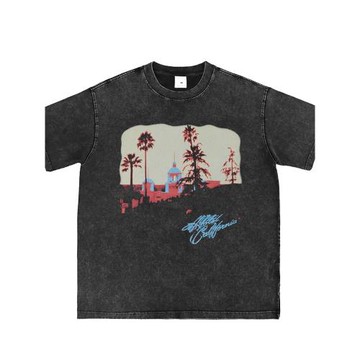 EAGLES數碼直噴水洗做舊灰老鷹搖滾樂隊復古美式街頭寬松短袖T恤