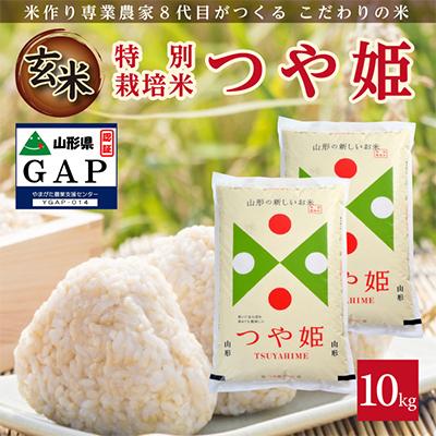 ふるさと納税 酒田市 山形県産　つや姫　玄米10kg　令和5年産　農家直送