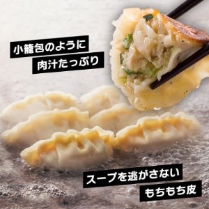 すかいらーく バーミヤンの冷凍 本格 生餃子 セット