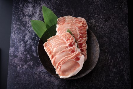 宮崎県産 豚肉 ロース しゃぶしゃぶ バラ ロースとんかつ用 各500g 合計1.5kg ミヤチク セット 豚肉 詰め合わせ 宮崎県産 豚 国産 豚肉 冷凍 送料無料 薄切り 豚肉 スライス 肉巻き 野菜巻き 炒め物 揚げ物 鍋 豚肉 バラエティ 旨味 さっぱり 豚肉 ロース バラ しゃぶしゃぶ