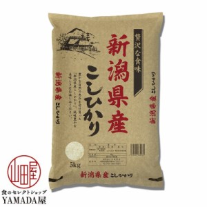 新潟県産 コシヒカリ 5kg  送料無料 白米 こしひかり お土産 贈り物 プレゼント お米 米 ギフト