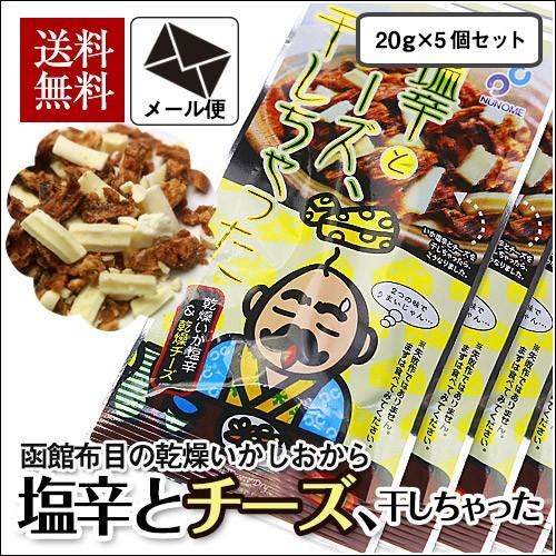 塩辛とチーズ、干しちゃった 20g×5袋セット メール便 布目 北海道 いか お試し 送料無料