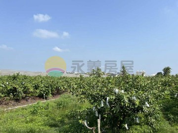 阿蓮區都內農⭐地形方正交通便利好利用｜高雄市阿蓮區阿蓮段