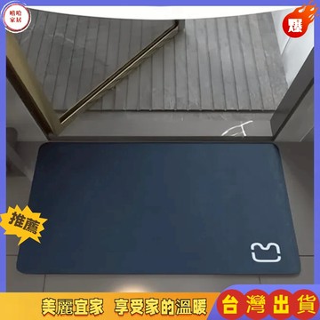 優選🏆硅藻土地墊 浴室防滑地墊 珪藻土軟墊 軟式 吸水地墊 踏墊 腳踏墊 浴室腳踏墊 矽藻土地墊 浴室地墊 防滑墊