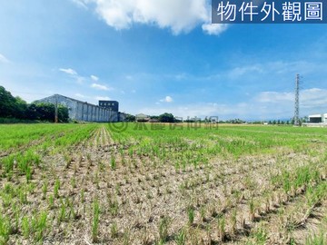 善化贊美酒店旁甲種工業用地｜台南市善化區大成段