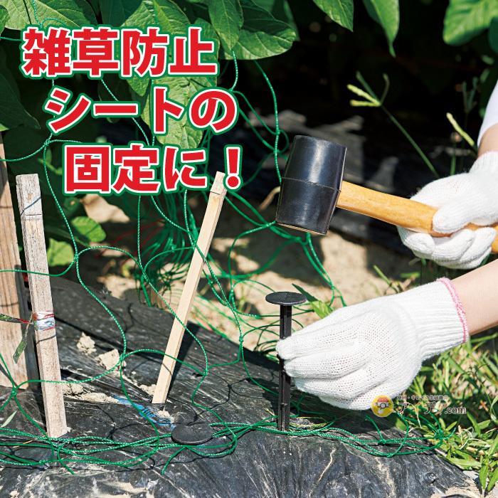 雑草防止シート用くぎ ピン 留め具 抜けにくい 刺しやすい 打ち込みやすい 抜けにくいシート押さえピン 20本入り 劣化防ぐ トゲ形状 コジット