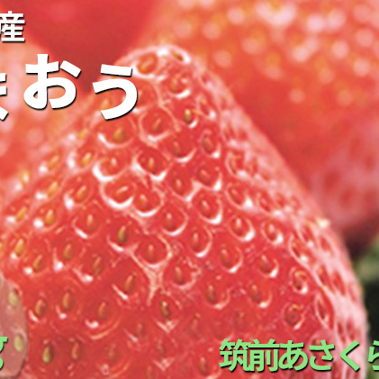 いちご あまおう 福岡県産 約1kg 250g×4パック 筑前あさくら農協 配送不可 離島