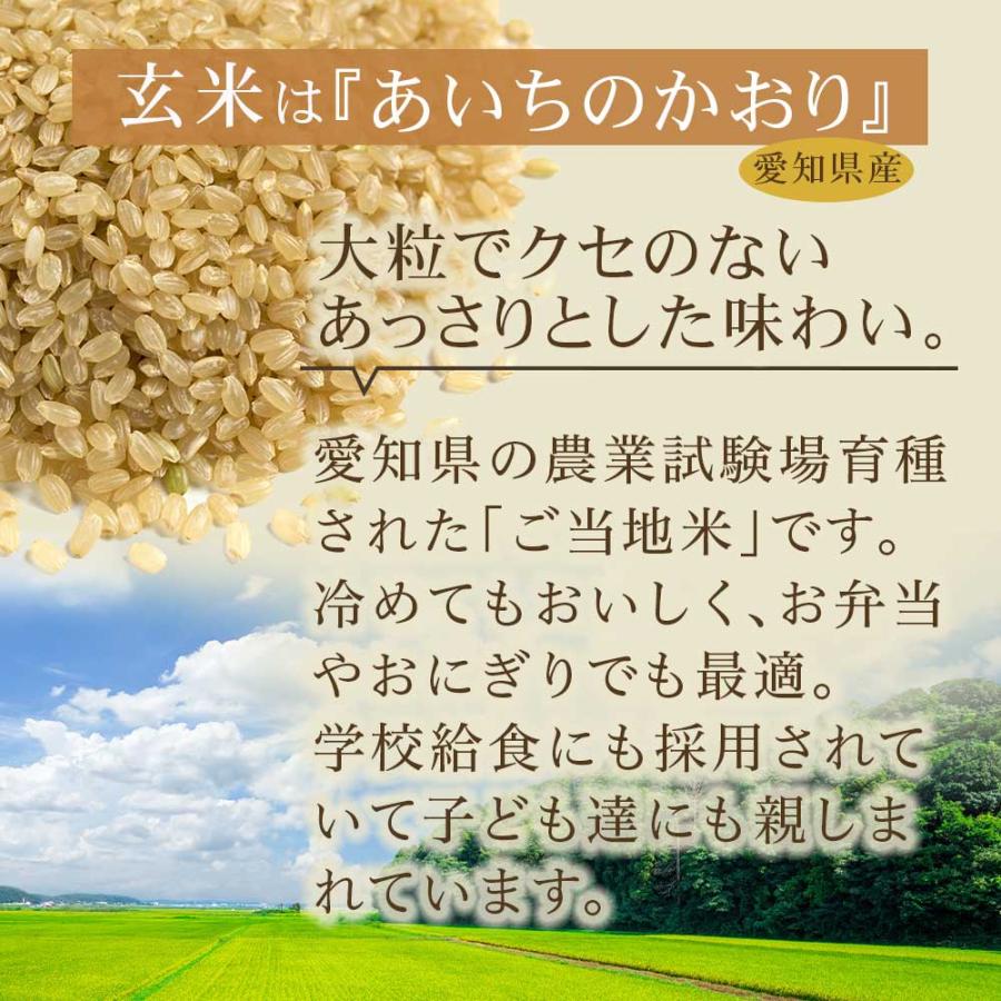 パックご飯 玄米 こんにゃく ごはん [玄米ゼンライス] 160g ×40 こんにゃく米入 低カロリー 低糖質 ダイエット 健康 食品