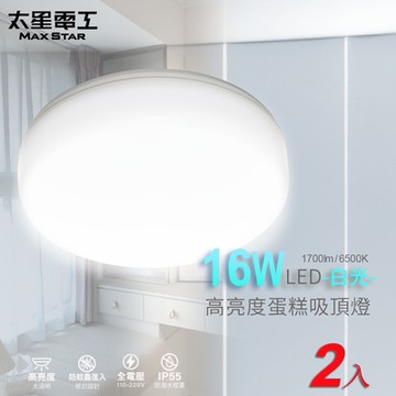 太星電工 LED高亮度蛋糕吸頂燈16W/白光(2入) WHB916W*2
