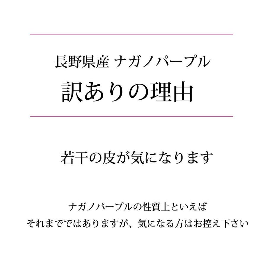 シャインマスカット ナガノパープル 2袋セット 送料無料 巨峰 皮ごと食べられる 冷凍ぶどう