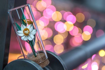 纏花-瓶中花系列/水仙花 (別針) 春仔花