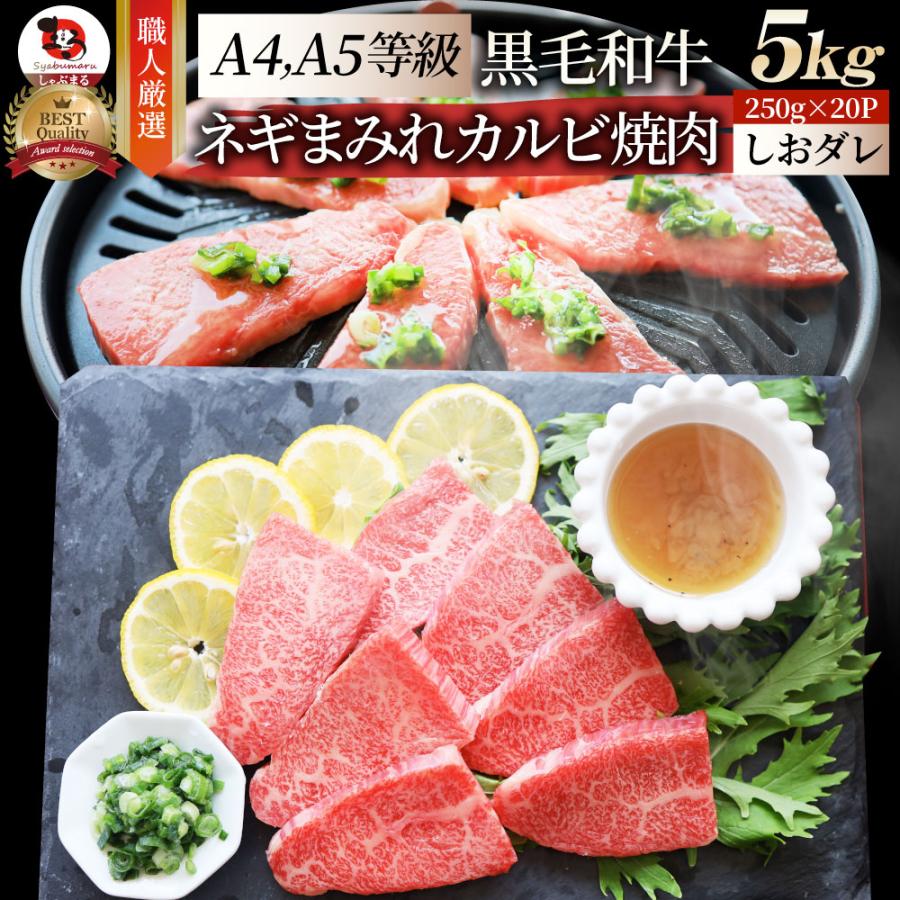 A4,A5等級 特選 黒毛和牛 カルビ焼肉 5kg  ねぎまみれ 旨塩ダレ（ A4 〜 A5等級 ）牛肉 肉 お歳暮 ギフト 食品 お祝い  霜降り 贅沢 黒毛 和牛