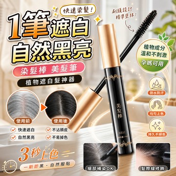 🔥新竹48H 正品染髮棒 遮白髮神器 植物一次性染髮膏 黑色快速染髮梳 可用