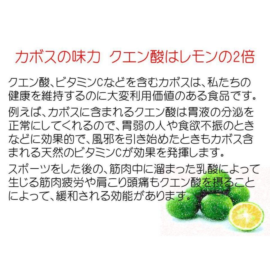 農薬不使用(無農薬)カボス 大分県産 かぼす 2キロ