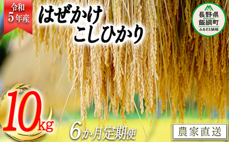 米 こしひかり 10kg × 6回 令和5年産 黒柳さんのお米 はぜかけ 沖縄県への配送不可 2023年11月上旬頃から順次発送予定 コシヒカリ 白米 精米 お米 信州 150000円 予約 農家直送 長野県 飯綱町 [1595]