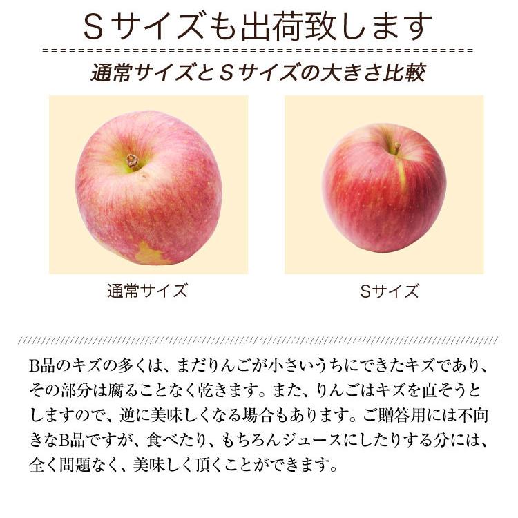 長野県産 りんご 樹上完熟りんご 1kg 特別栽培農産物 減農薬 蜜入り 訳あり ジュース用 ご家庭用 にんじんジュースにも最適