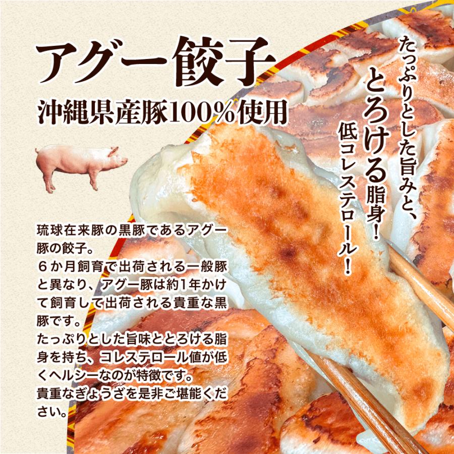 餃子 沖縄 アグー豚 もずく にんにく ゴーヤー イカスミ 島とうがらし 取り寄せ 琉みんみん 96個入 8パックセット 冷凍餃子 点心