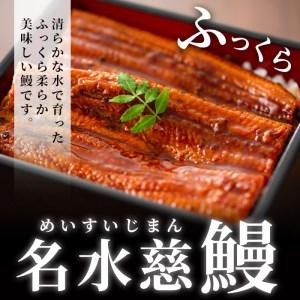 ふるさと納税 鹿児島県産うなぎ蒲焼 名水慈鰻 特大3尾(1尾190g以上)＜計570g以上＞ b3-006 鹿児島県志布志市