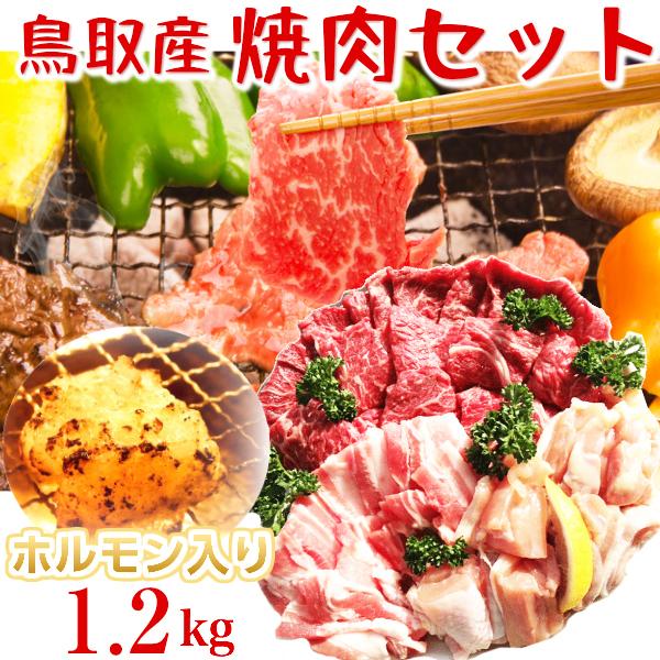 鳥取県産 焼肉セット 1.2ｋｇ (３〜５人前） ホルモン 牛肉 豚肉 鶏肉 焼き肉 バーベキュー  BBQ ファミリーセット たっぷり1,2キロ 送料無料