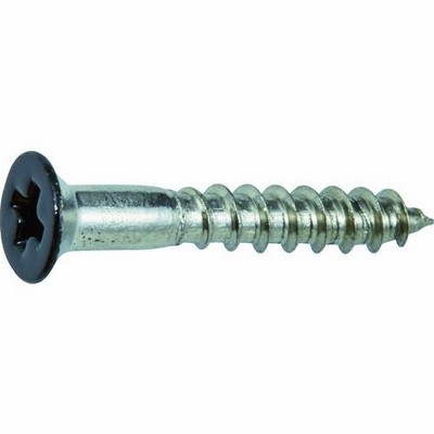 TRUSCO(トラスコ) ステンレス木ねじ　皿頭　Ｍ２．４Ｘ１６　黒　（４５本入）　（1Ｐｋ） SCWS-2416BK