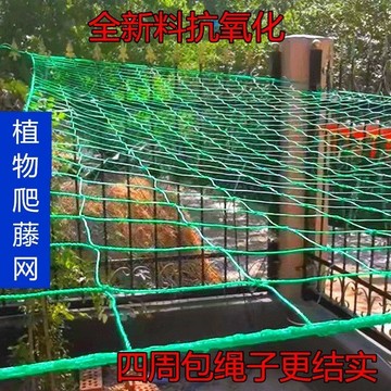 爬藤網 攀爬網 攀爬網搭架網 尼龍網 栽培網 瓜果爬藤網 花卉爬藤網爬藤 棚架網 絲瓜網 園藝網 可塑性強