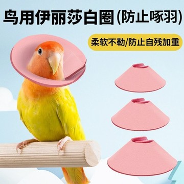💥桃園出貨💥玄鳳鸚鵡伊麗莎白圈保護項圈牡丹和尚防啄毛鳥用防啃咬毛脖套頭套🌟可開票