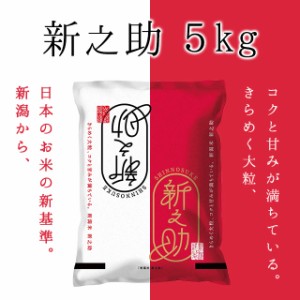 新之助 5kg（5キロ×1袋）新潟県産 米 5キロ 送料無料 精米 令和5年 5kg お米 5kg 安い 産