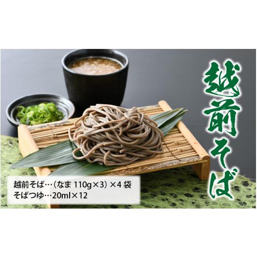 ふるさと納税 福井県 福井市 ヤマサ製麺 越前そば 12食 （3食袋×4）【蕎麦 おそば なまそば 生そば 生麺 麺類 越前蕎麦 和食 小分け 風味 のど越し つゆ付 冷…