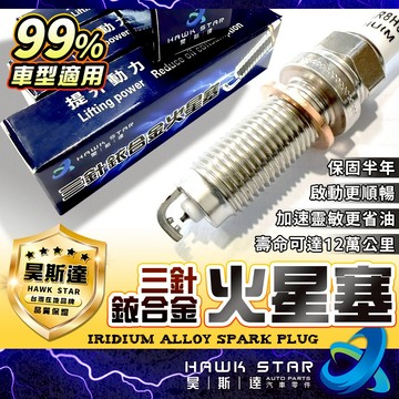 豐田 瑞獅 SURF 1988-2006年 錫合金 銥合金 火星塞 火花塞 日本DENSO 0107