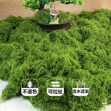 【隔日到貨 嘉義現貨】 大包裝仿真絲狀苔蘚 人造假青苔 假草絲 微景觀佈置草絲 擺件草坪 盆景盆栽苔癬 假鮮苔 假苔蘚