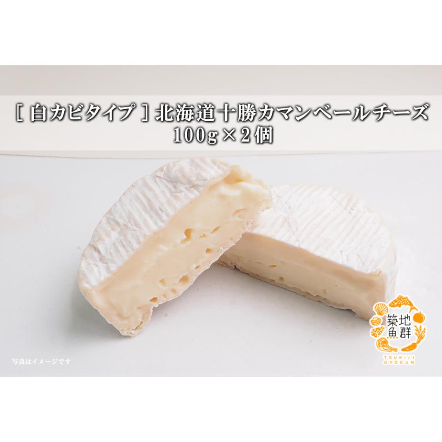 [白カビタイプ]北海道十勝カマンベールチーズ 100g×2個 冷蔵便