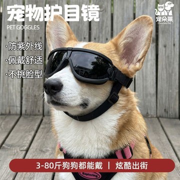 寵物眼鏡狗狗貓咪防風防塵防紫外線墨鏡戶外拍照潮流護目鏡狗配飾 狗狗防風鏡 寵物眼鏡狗狗防風鏡 貓咪防風鏡