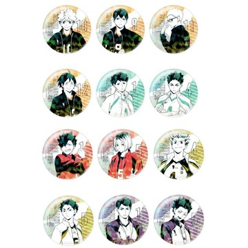 【排球少年🏐】免運 日穀正版排球少年隊服閃吧唧徽章日嚮翔陽及川徹孤爪週邊