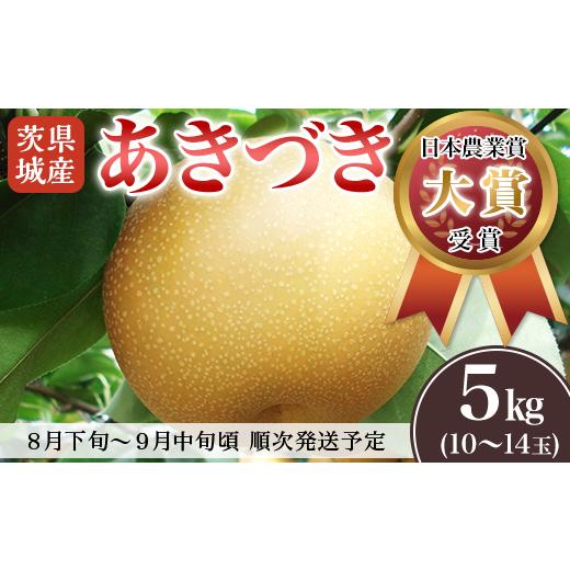 ふるさと納税 茨城県 下妻市 茨城県産「あきづき」約5kg