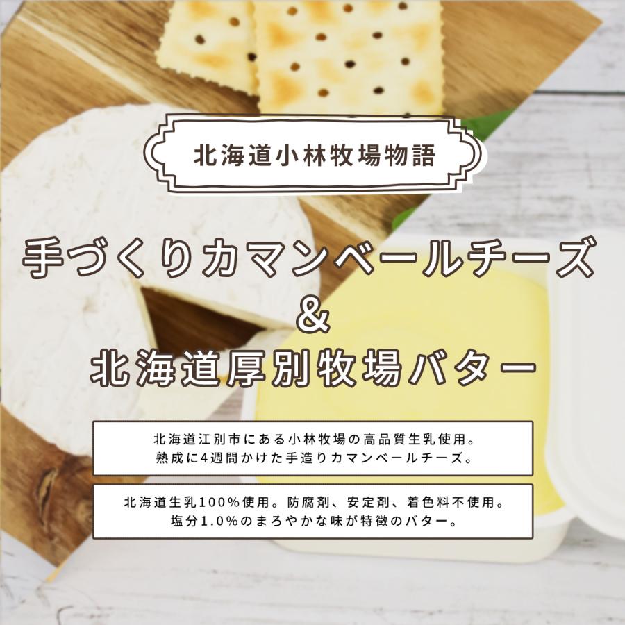 本日クーポンで5％OFF 北海道 カマンベールチーズ バター ギフトセット 新札幌乳業 送料無料