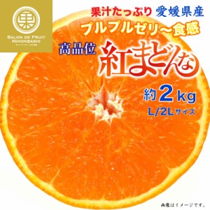 [予約 12月31日必着] 紅まどんな 約2kg L 2L 愛媛県 化粧箱 冬ギフト お歳暮 御歳暮 大晦日必着