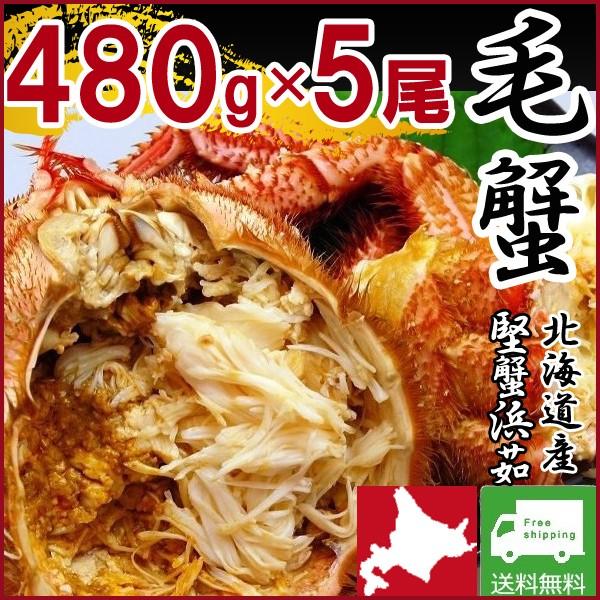 カニ 海鮮  (480g×5尾 毛蟹 ギフト 北海道産)カニ(毛がに　けがに　毛ガニ)鍋セット 送料無料