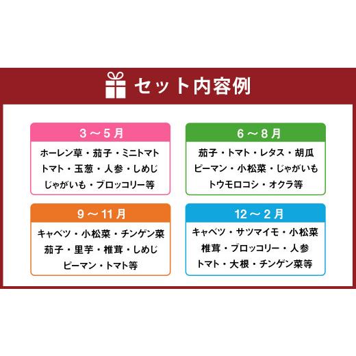 ふるさと納税 熊本県 熊本県産 肥後の国 野菜の詰め合わせセット