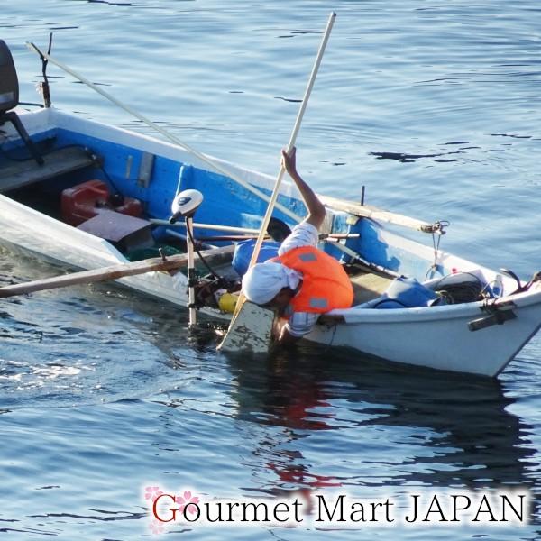 缶つま極(きわみ) むしうに 北海道利尻島産 キタムラサキウニ100g×6個セット お取り寄せ プレゼント ギフト