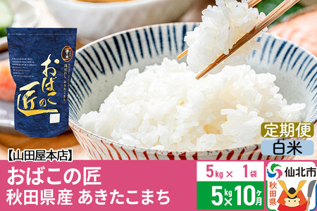 《定期便10ヶ月》令和5年産 仙北市産 おばこの匠 5kg×10回 計50kg 秋田県産あきたこまち 秋田こまち お米 10か月 10ヵ月 10カ月 10ケ月