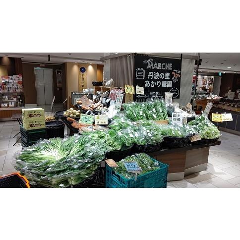 送料込 新鮮野菜セット　数量限定　丹波篠山野菜