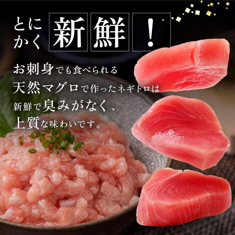 まるごと越前 ネギトロ 天然マグロ 粗挽き 冷凍 (500g)