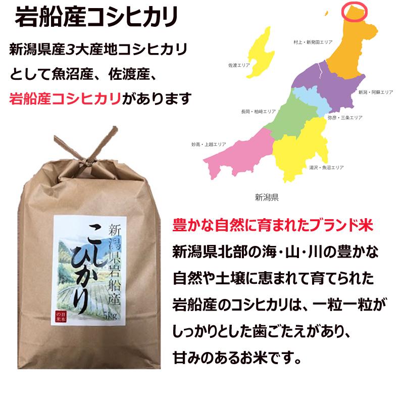 令和5年産 産地直送 新潟県岩船産コシヒカリ 5kg
