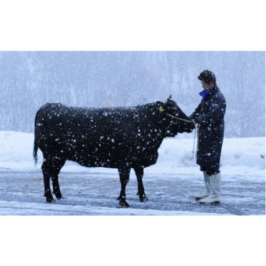 ふるさと納税 山形県 尾花沢市 尾花沢牛肉まつり すき焼き・しゃぶしゃぶセット モモ・カタ・肩ロース 880g 雪降り和牛尾花沢 山形牛 ja-yomss880