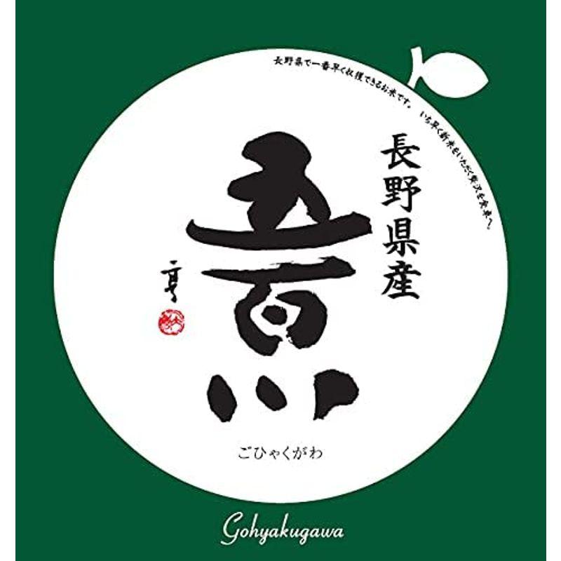 玄米長野県上伊那産 玄米 長野県で一番早くて旨い 五百川 10kgx2袋 令和4年産 新米