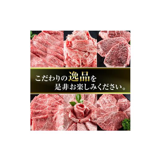 ふるさと納税 宮崎県 三股町 MI143 ＜先行予約受付中！2024年2月以降順次発送予定＞宮崎牛 肩ロース焼肉(300g)と宮崎県産黒毛和牛小間切れ(100g×…