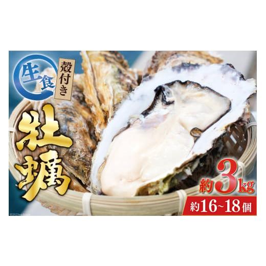 ふるさと納税 宮城県 気仙沼市  牡蠣 3〜4年モノ 生食 殻付き牡蠣 約3kg(約16-18個入) [住喜水産 宮城県 気仙沼市 20562726] 期間限定 冷蔵 新…