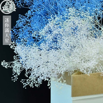 大好屋 台灣現貨 迷你滿天星 百萬星 永生花 乾燥花 批發零售 乾燥花DIY材料 花藝配花 室內裝飾 捧花 微景觀
